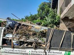 Best Same-Day Junk Removal Services  in Shamrock, TX