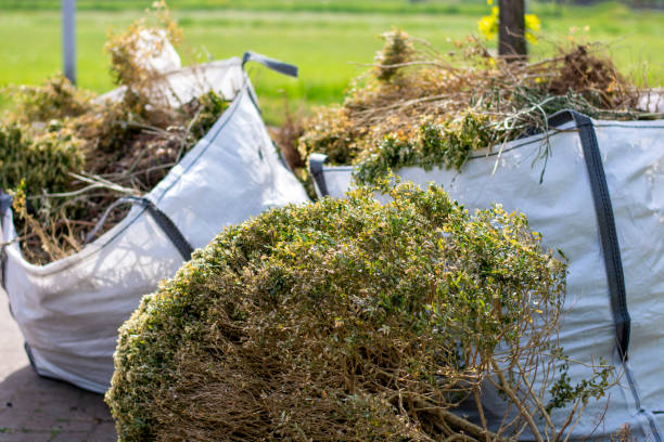 Best Yard Waste Removal  in Shamrock, TX