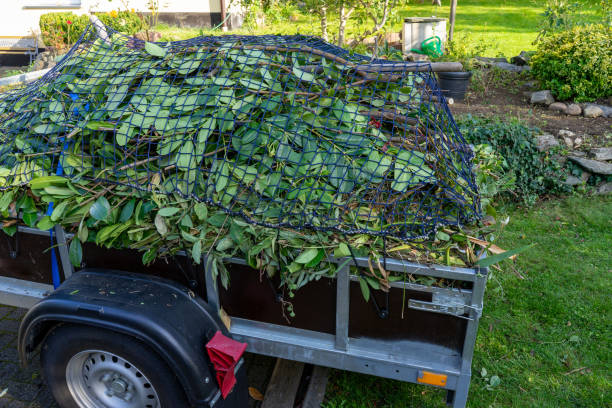 Best Dumpster Rental Services  in Shamrock, TX